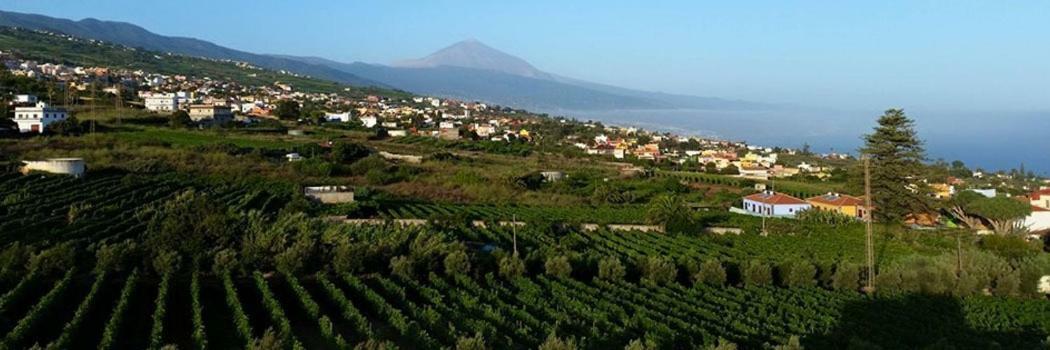 Stunning Views At Tenerife Tacoronte Eksteriør billede
